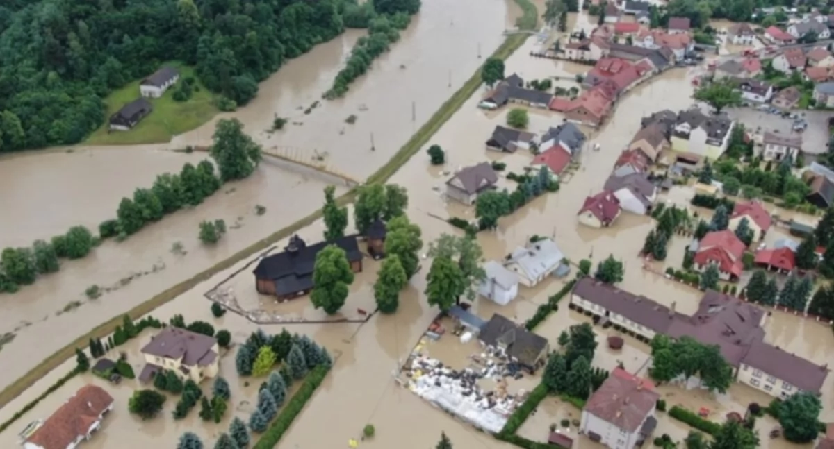 Stowarzyszenia i organizacje, Starosta apeluje pomoc - zdjęcie, fotografia