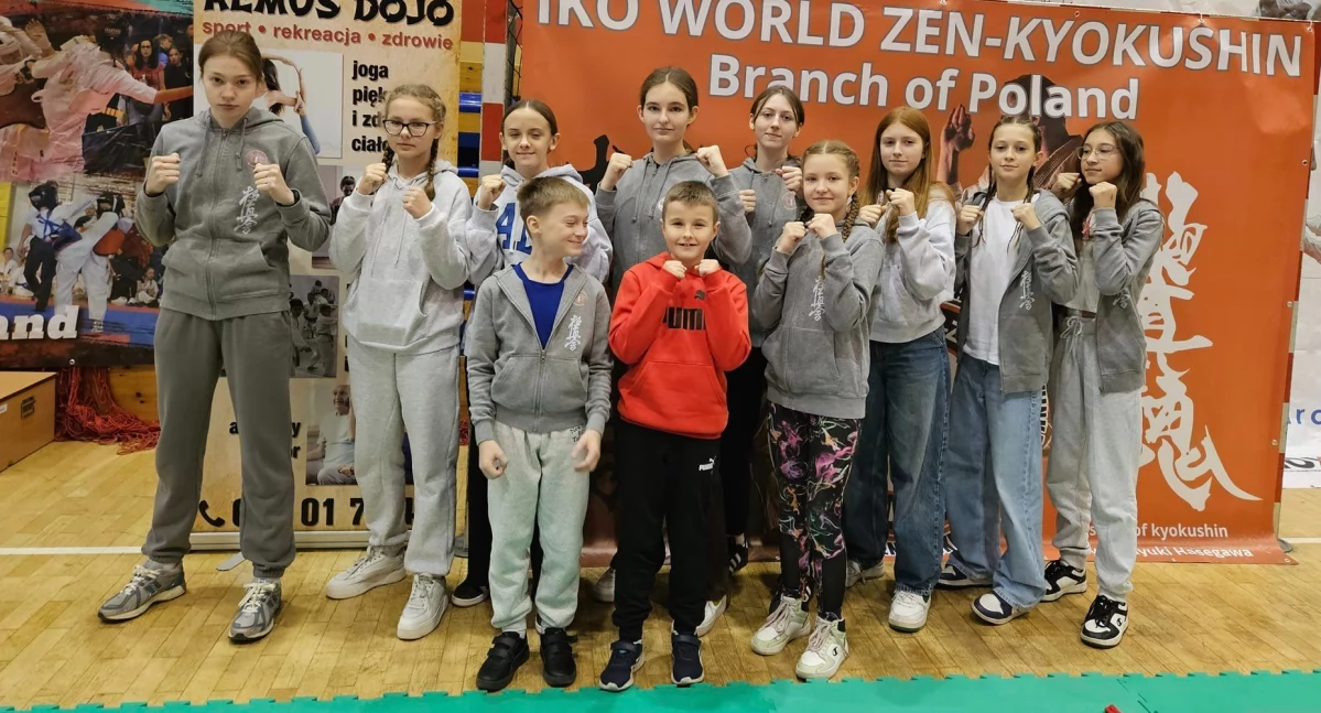 Sztuki walki, Medale karate doświadczenie boksie [zdjęcia] - zdjęcie, fotografia