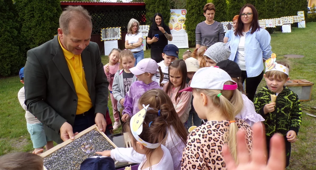 Edukacja, Pszczoły przedszkolu [zdjęcia] - zdjęcie, fotografia