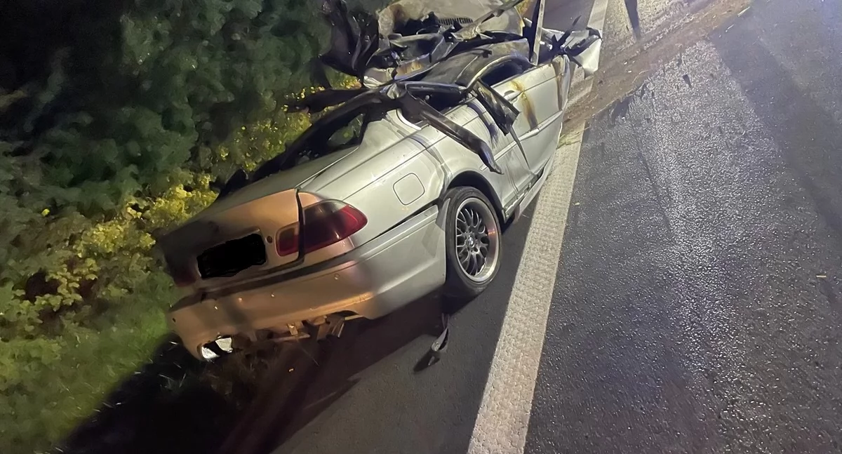 Wypadki, uderzyło drzewo zapaliło Kierowca żyje - zdjęcie, fotografia