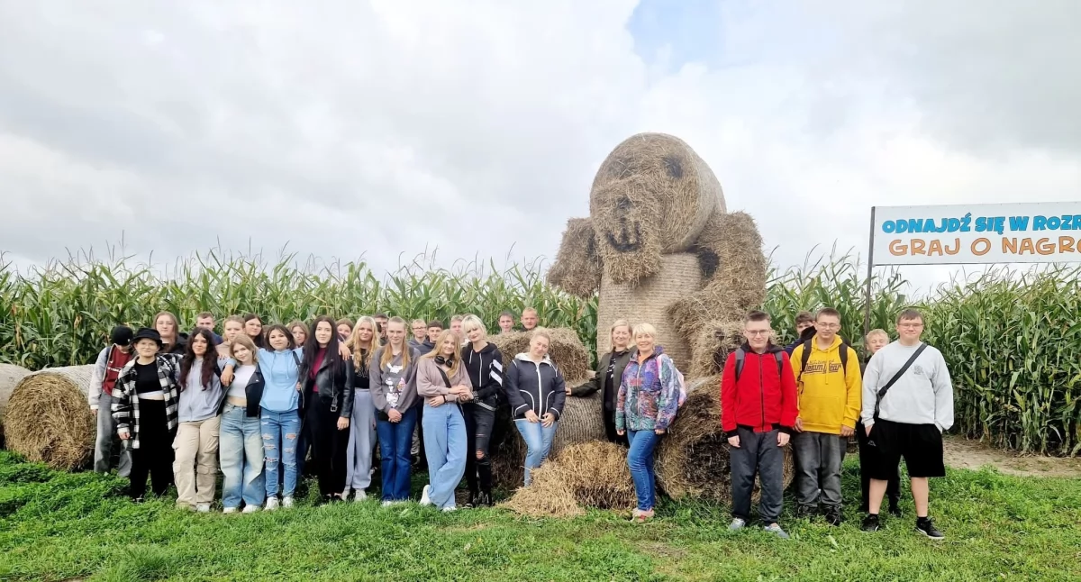 Edukacja, Uczą tylko szkolnych ławkach - zdjęcie, fotografia