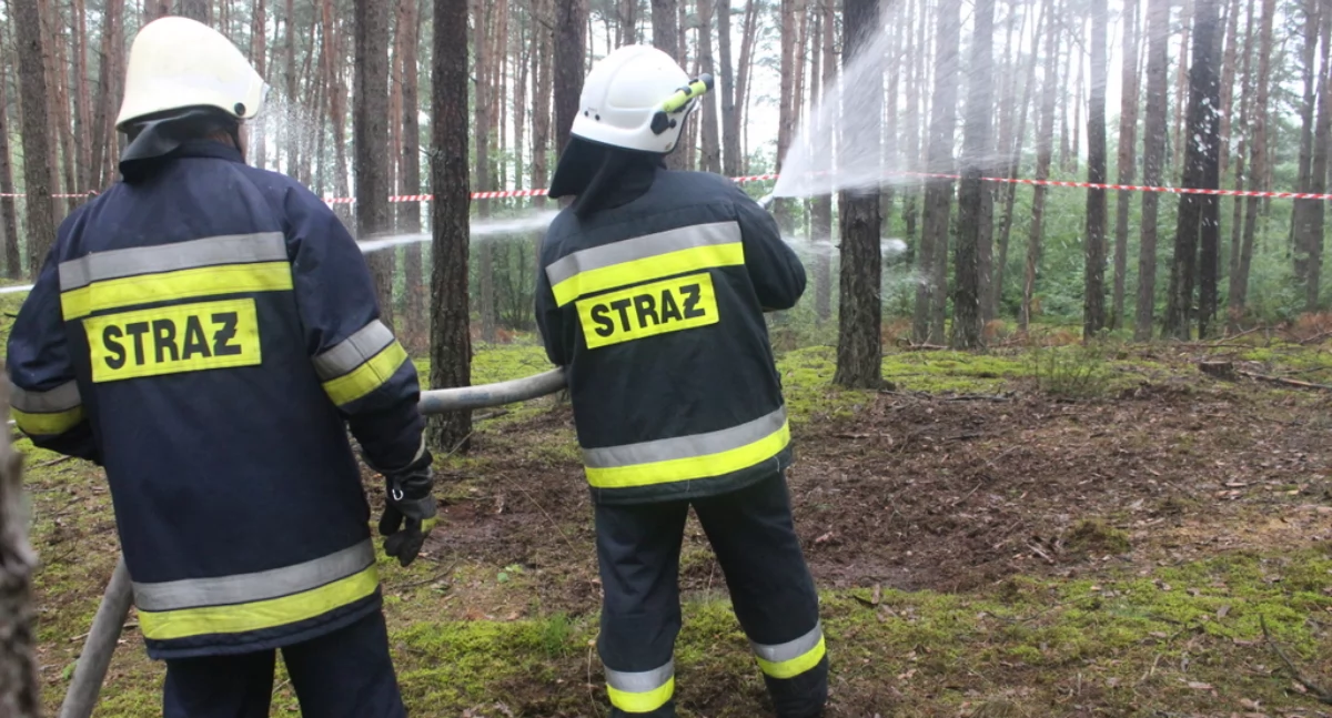 Pożary, Zatrzymali letniego podpalacza Wyraził skruchę - zdjęcie, fotografia