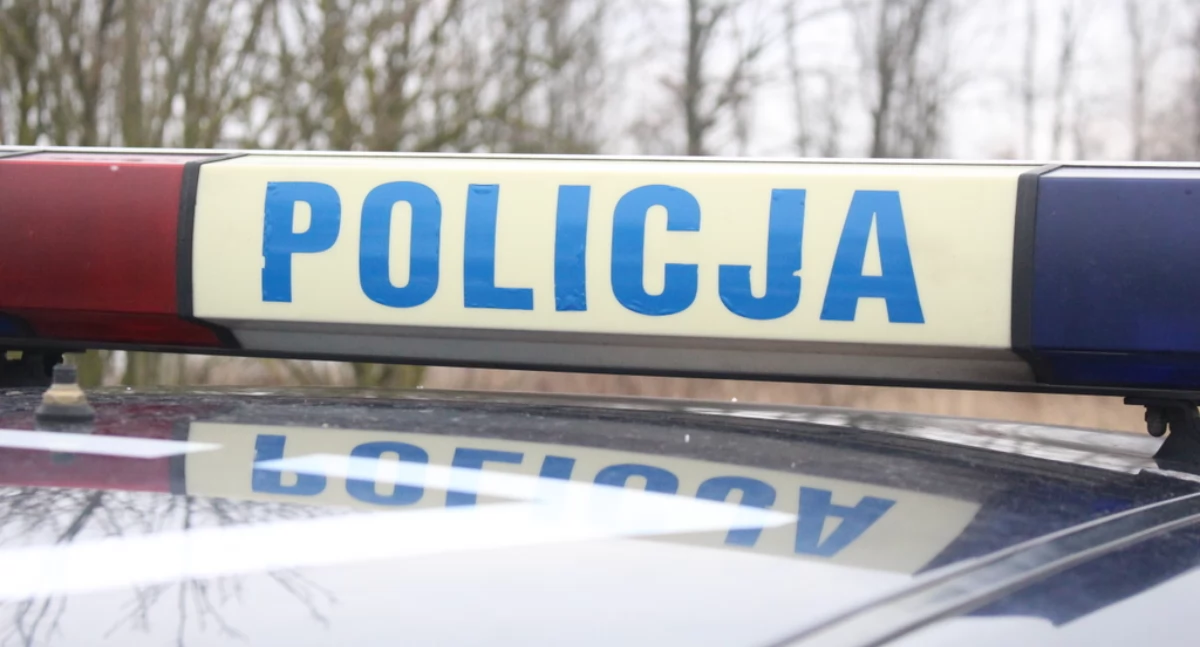 Kronika kryminalna, Starsi grzybiarze zgubili lesie - zdjęcie, fotografia