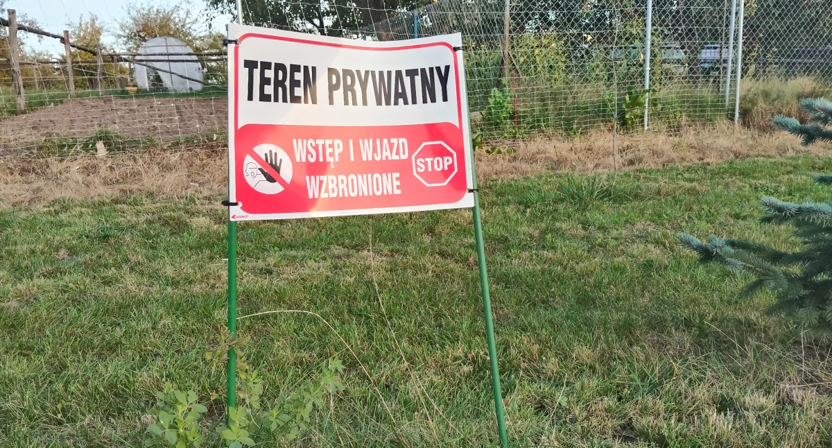 Interwencje, dołki kopie - zdjęcie, fotografia