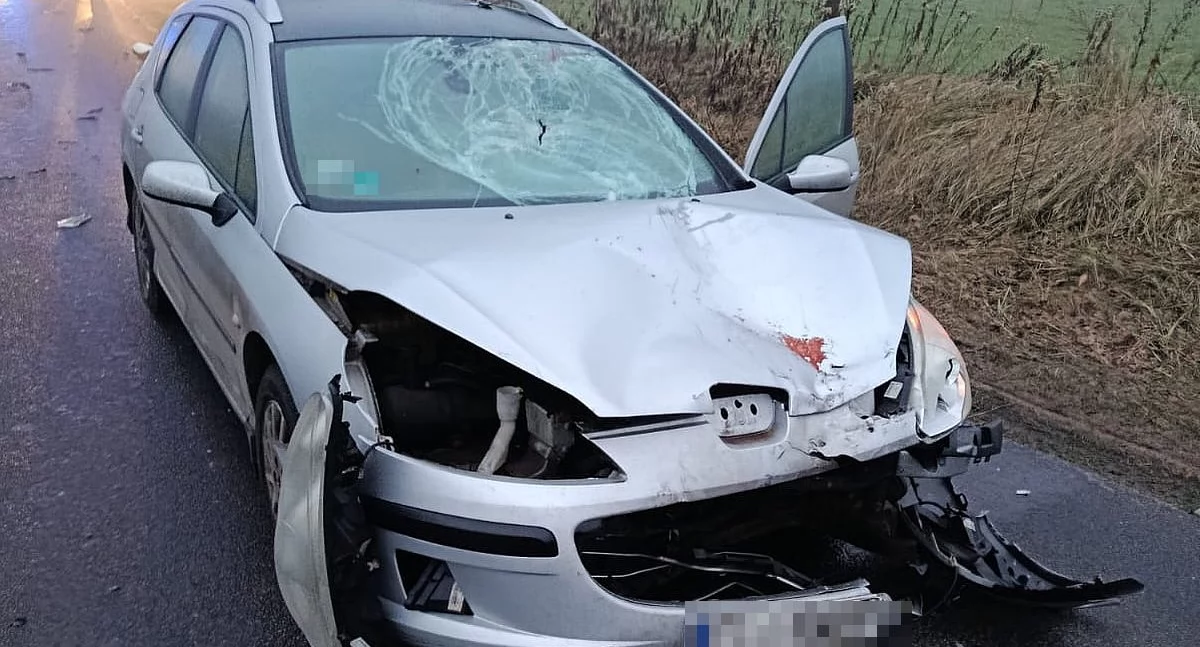 Wypadki, Tragiczny wypadek Windudze Zginęła latka - zdjęcie, fotografia