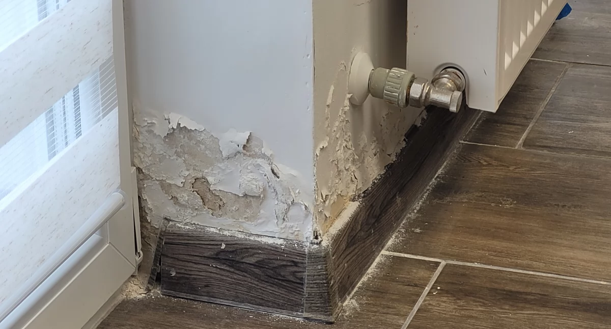 Interwencje, Naprawiają kosztowne błędy - zdjęcie, fotografia