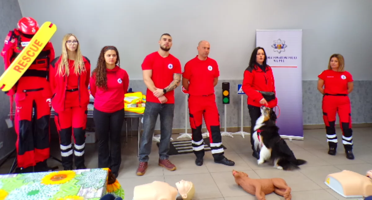Biblioteki, Bezpiecznie lodzie drodze [zdjęcia] - zdjęcie, fotografia