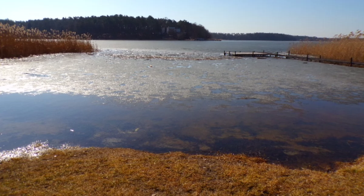 Interwencje, Wzięli swoje ręce - zdjęcie, fotografia