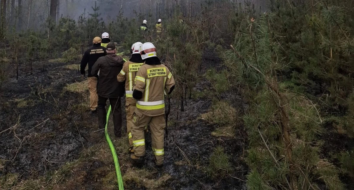 Pożary, Seria podpaleń terenie powiatu Starosta wyznaczył nagrodę informacje! - zdjęcie, fotografia
