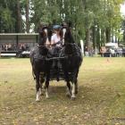 zdjęcie nr 74