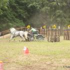 Fotka nr 2 z 104