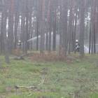 zdjęcie nr 107