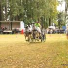 zdjęcie nr 81