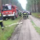 zdjęcie nr 73