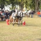 zdjęcie nr 30