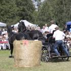 zdjęcie nr 32