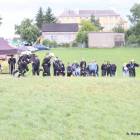 zdjęcie nr 16