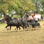 zdjęcie nr 79