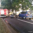 Fotka nr 2 z 17