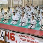 zdjęcie nr 17