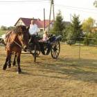 zdjęcie nr 34