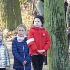 zdjęcie nr 15