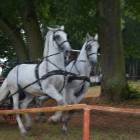 zdjęcie nr 11