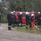 zdjęcie nr 22