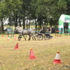 zdjęcie nr 65