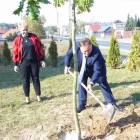 zdjęcie nr 21