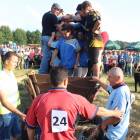 zdjęcie nr 217