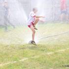 zdjęcie nr 15