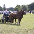 zdjęcie nr 73
