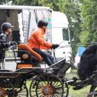 zdjęcie nr 100