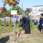 zdjęcie nr 16