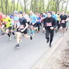 zdjęcie nr 31