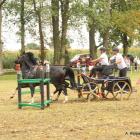 zdjęcie nr 77