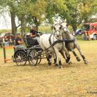 zdjęcie nr 70