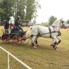 zdjęcie nr 49