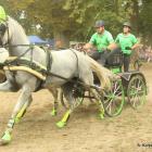 zdjęcie nr 100