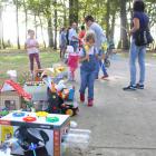 zdjęcie nr 14