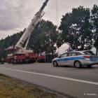 Fotka nr 3 z 14