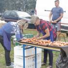 zdjęcie nr 90