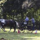 zdjęcie nr 15