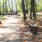 zdjęcie nr 22