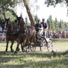 zdjęcie nr 92
