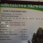 zdjęcie nr 8