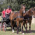 zdjęcie nr 34