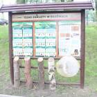 zdjęcie nr 17