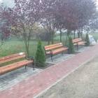 zdjęcie nr 31